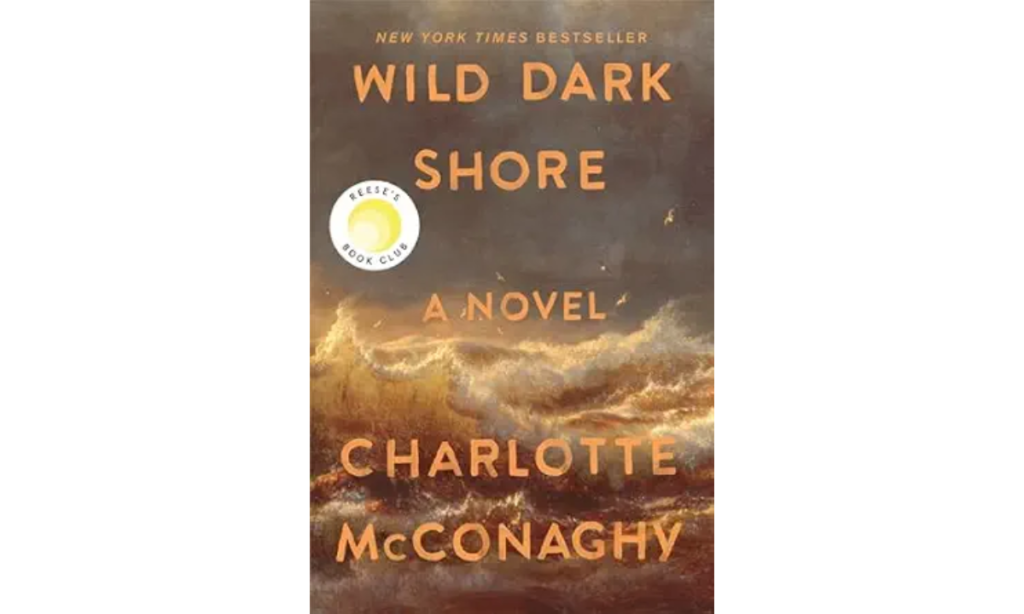 Wild Dark Shore by Charlotte McConaghy